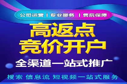 行业案例分析：sem账户托管的成功与挑战